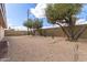 Back yard featuring desert landscaping at 12826 S 40Th Pl, Phoenix, AZ 85044