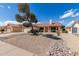 Single-story home featuring mature trees, a wide driveway and xeriscaped landscaping at 12826 S 40Th Pl, Phoenix, AZ 85044