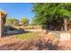 Lush backyard featuring a well-maintained lawn, mature trees, and a built-in barbecue area at 13007 W Tuckey Ct, Glendale, AZ 85307