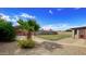 Backyard with a patch of green grass, a palm tree, desert landscaping, and perimeter block wall at 13834 N 39Th Ln, Phoenix, AZ 85053