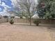 Backyard with dirt, trees, bushes, and a block wall at 1512 N Iowa St, Chandler, AZ 85225