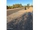 A view of a paved walking path at 21696 E Arroyo Verde Dr, Queen Creek, AZ 85142