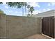 Exterior backyard featuring privacy wall, palms and blue skies at 3309 N 70Th St # 108, Scottsdale, AZ 85251