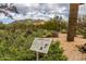 An informative sign displays desert plants, with a mountain in the background at 34423 N 68Th Way, Scottsdale, AZ 85266