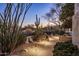 Desert landscape with illuminated walkway to home, featuring cacti and native plants at 34423 N 68Th Way, Scottsdale, AZ 85266