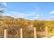 A view of the desert landscape from the property at 3616 E Kachina Dr, Phoenix, AZ 85044