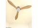 A modern three blade wooden ceiling fan with a built in light at 8653 E Royal Palm Rd # 1006, Scottsdale, AZ 85258