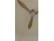 A close up of a three-blade wooden ceiling fan with a light fixture against an off-white ceiling at 8653 E Royal Palm Rd # 1006, Scottsdale, AZ 85258