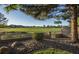 Inviting backyard with a lush green golf course view, complemented by rock landscaping and mature trees at 9440 N 57Th St, Paradise Valley, AZ 85253