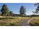 Scenic pathway winding through lush trees with a view of the golf course and distant mountains at 9440 N 57Th St, Paradise Valley, AZ 85253