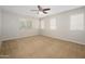 Spacious bedroom featuring plush carpet, a ceiling fan, and multiple windows for ample natural light at 10219 E Isleta Ave, Mesa, AZ 85209