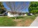 Well-manicured lawn surrounds this single-story home, complemented by mature trees and a sidewalk at 10392 W Deanne Dr, Sun City, AZ 85351