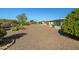 Backyard features desert landscaping with various trees and hardscape at 10509 W Oak Ridge Dr, Sun City, AZ 85351