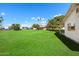 Large grassy backyard, palm trees, and serene views, offering a peaceful outdoor space at 10611 W Camelot Cir, Sun City, AZ 85351