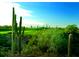 Scenic desert golf course with cacti and rolling greens under a clear blue sky with distant mountains at 12129 W Desert Mirage Dr, Peoria, AZ 85383