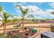 Large backyard with mature landscaping, desert plants, and manicured flowerbeds is perfect for outdoor activities at 13729 E Rancho Laredo Dr, Scottsdale, AZ 85262