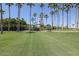 Waterpark view with slide tower surrounded by tall palms, green lawn and blue skies at 17751 W Desert View Ln, Goodyear, AZ 85338