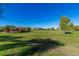Beautiful community green with mature trees, green grass, and neighborhood homes creating a serene outdoor setting at 18938 W Luke Ave, Litchfield Park, AZ 85340