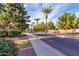 Scenic street view featuring mature trees, including palm trees, sidewalks, and well-maintained landscaping at 2635 E Chester Dr, Chandler, AZ 85286