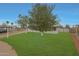 Well-maintained front yard with mature trees enhancing the curb appeal of the home at 3333 N 81St Ave, Phoenix, AZ 85033