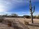 Desert landscape with native cacti and clear blue sky at 6107 E Lone Mountain Rd, Cave Creek, AZ 85331