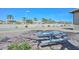 Enjoy a picnic in the common area with blooming flowers, mature trees, and community recreation facilities at 10730 W Escuda Dr, Peoria, AZ 85373