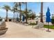 Community pool deck featuring lounge chairs and shaded umbrellas among lush palm trees at 11664 E Del Timbre Dr, Scottsdale, AZ 85259