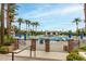 A community pool with lounge seating surrounded by palm trees and landscaping at 11664 E Del Timbre Dr, Scottsdale, AZ 85259