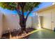 A charming patio area with an orange tree, creating a serene outdoor space at 13642 N Silverbell Dr, Sun City, AZ 85351