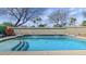 Sparkling pool surrounded by desert landscaping, perfect for relaxation at 16224 S 40Th Pl, Phoenix, AZ 85048