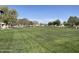 Expansive grassy park area with mature trees, walking paths, and playground equipment at 1770 S Sabino Dr, Gilbert, AZ 85295