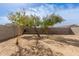 Backyard with a few small trees and a block wall, creating a blank slate for outdoor enjoyment at 29991 W Mitchell Ave, Buckeye, AZ 85396