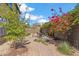 Charming backyard features desert landscaping, string lights, and a beautiful blooming tree at 3713 E Cat Balue Dr, Phoenix, AZ 85050