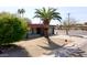Inviting single-story home with a well-maintained desert landscape, featuring a mature palm tree in the front yard at 4001 E Cannon Dr, Phoenix, AZ 85028
