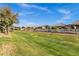 Lush green backyard with a walking path and manicured landscaping behind a white fence at 42186 W Cribbage Rd, Maricopa, AZ 85138