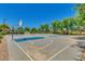 Community basketball court under a clear blue sky, surrounded by green trees at 43298 W Delia Blvd, Maricopa, AZ 85138