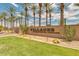 The Villages at Rancho El Dorado community entrance sign with desert landscaping and rows of mature palm trees at 43298 W Delia Blvd, Maricopa, AZ 85138