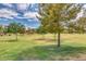 Expansive green with mature trees offering shade in this community at 43298 W Delia Blvd, Maricopa, AZ 85138