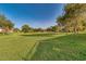 Expansive green space with lush grass and shade trees, perfect for outdoor activities at 43298 W Delia Blvd, Maricopa, AZ 85138