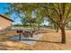 Outdoor picnic area with table, grill, and mature trees perfect for gatherings at 43298 W Delia Blvd, Maricopa, AZ 85138