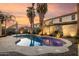 Backyard pool, palm trees, and desert landscaping create a private outdoor oasis at 43298 W Delia Blvd, Maricopa, AZ 85138