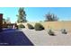 Spacious desert landscaped backyard with a decorative wall, small plants, and desert landscaping at 45558 W Mountain View Rd, Maricopa, AZ 85139