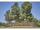 Welcoming community entrance with lush landscaping and the 'Maricopa Meadows' sign at 45558 W Mountain View Rd, Maricopa, AZ 85139
