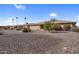 Expansive backyard featuring desert landscaping, various cacti, shrubs, and low maintenance gravel at 13235 W Ashwood Dr, Sun City West, AZ 85375