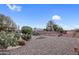 The backyard features desert landscaping with various cacti and low-maintenance gravel at 13235 W Ashwood Dr, Sun City West, AZ 85375