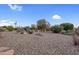 The backyard has desert landscaping featuring cacti, trees, and gravel for easy maintenance at 13235 W Ashwood Dr, Sun City West, AZ 85375