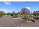 The backyard is desert landscaped with cacti and low maintenance gravel at 13235 W Ashwood Dr, Sun City West, AZ 85375