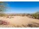 Natural desert backyard with native plants, blending seamlessly with the surroundings at 16835 E Skinner Dr, Rio Verde, AZ 85263