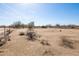 Expansive pasture with horse fencing under a clear sky surrounded by desert vegetation at 16835 E Skinner Dr, Rio Verde, AZ 85263