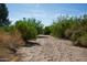 Scenic dirt road surrounded by desert vegetation under a blue sky at 20212 E Appaloosa Dr, Queen Creek, AZ 85142